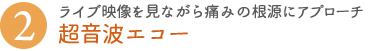 ライブ映像を見ながら痛みの根源にアプローチ 超音波エコー」