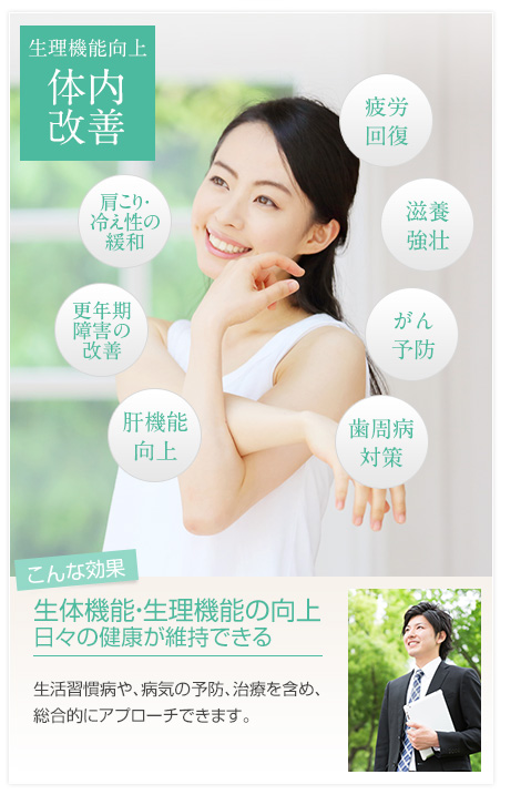 体内改善